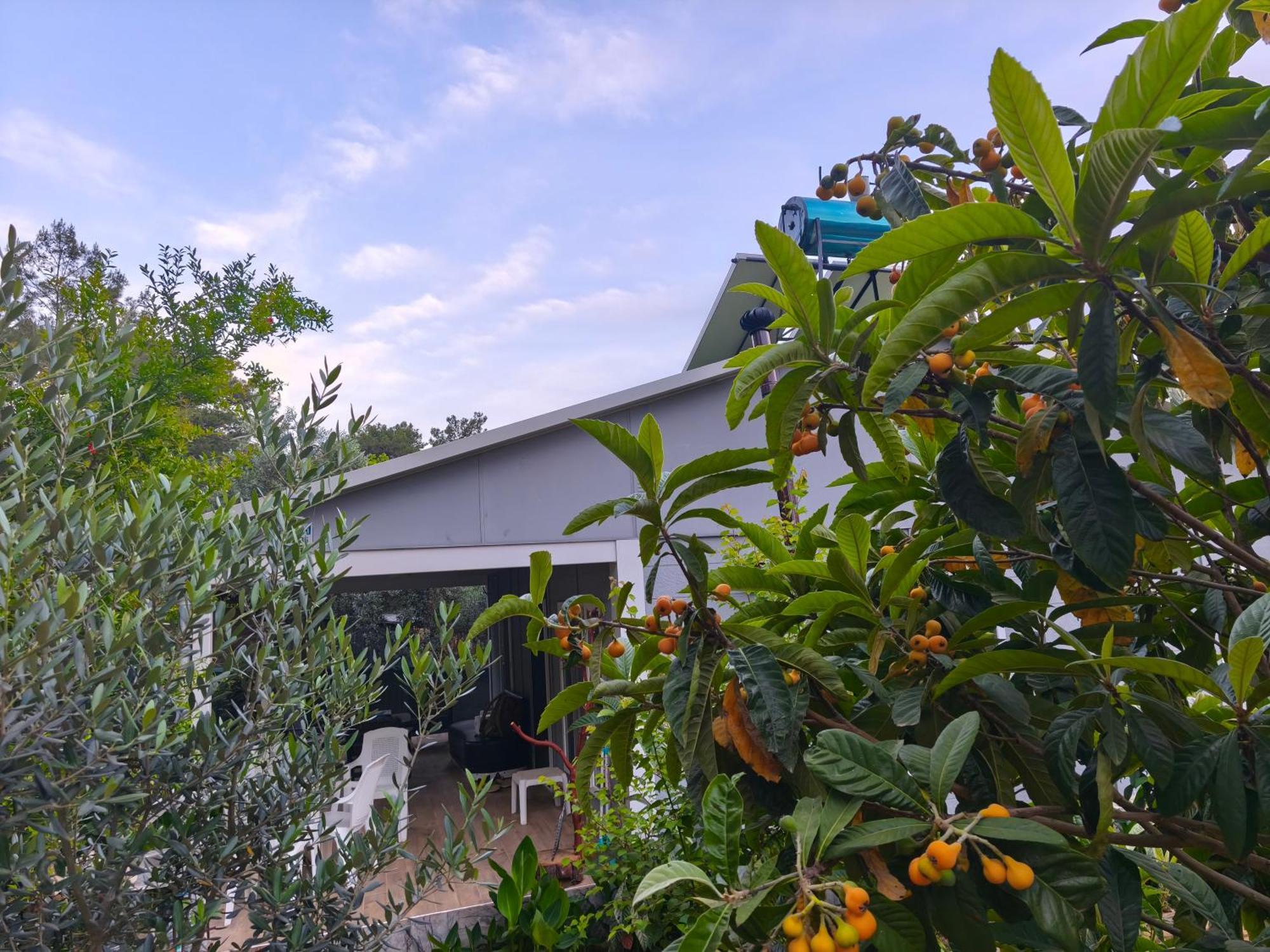 Gelidonia Fenerium Holiday Home Antalya Exterior foto